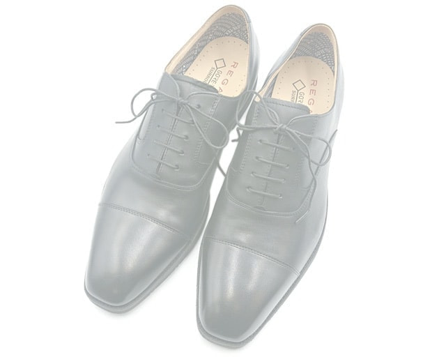 リーガル 21BLBE ストレートチップ GORE-TEX SURROUND（R）フットウェア